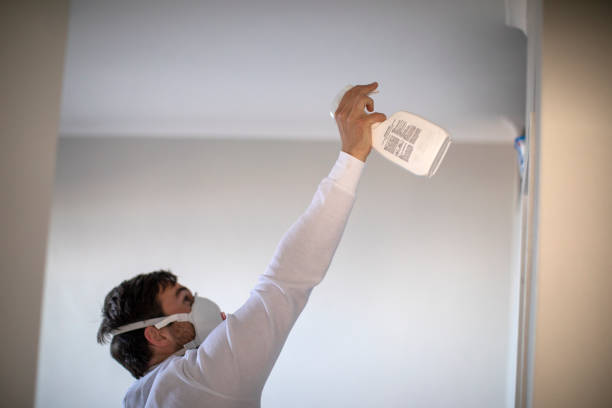 Best Affordable Mold Removal  in Fowler, MI