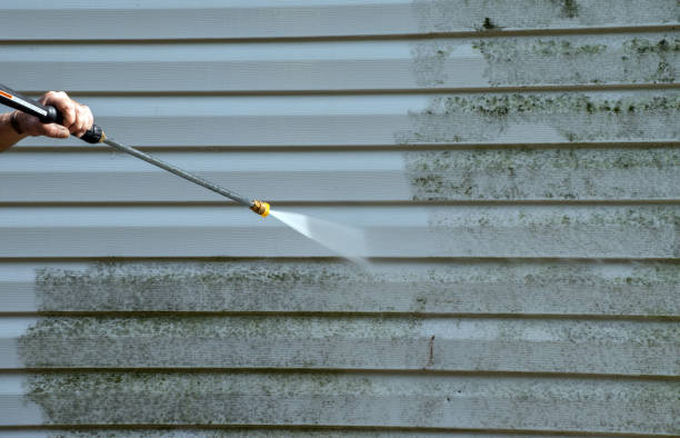Best Emergency Mold Removal  in Fowler, MI