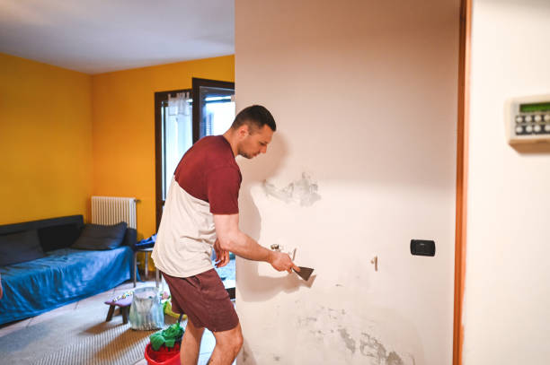 Best Mold Removal Near Me  in Fowler, MI